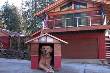 dog house